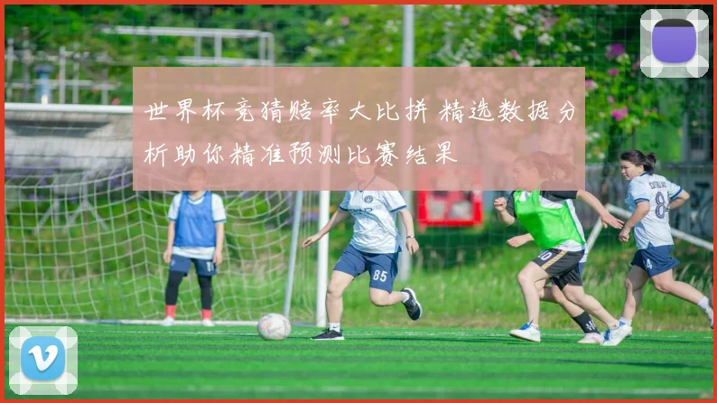 世界杯竞猜赔率大比拼 精选数据分析助你精准预测比赛结果