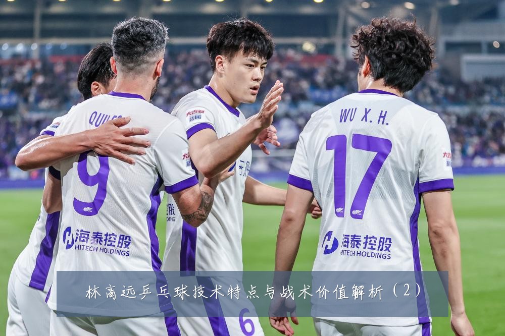 林高远乒乓球技术特点与战术价值解析(2)