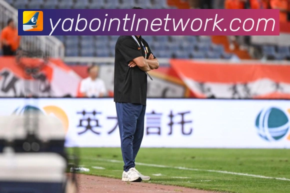 王艺迪乒乓球生涯高光与竞技价值解析